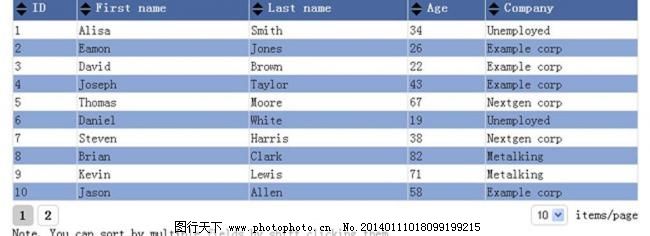 表格分页排序插件图片_网页界面模板_UI界面设