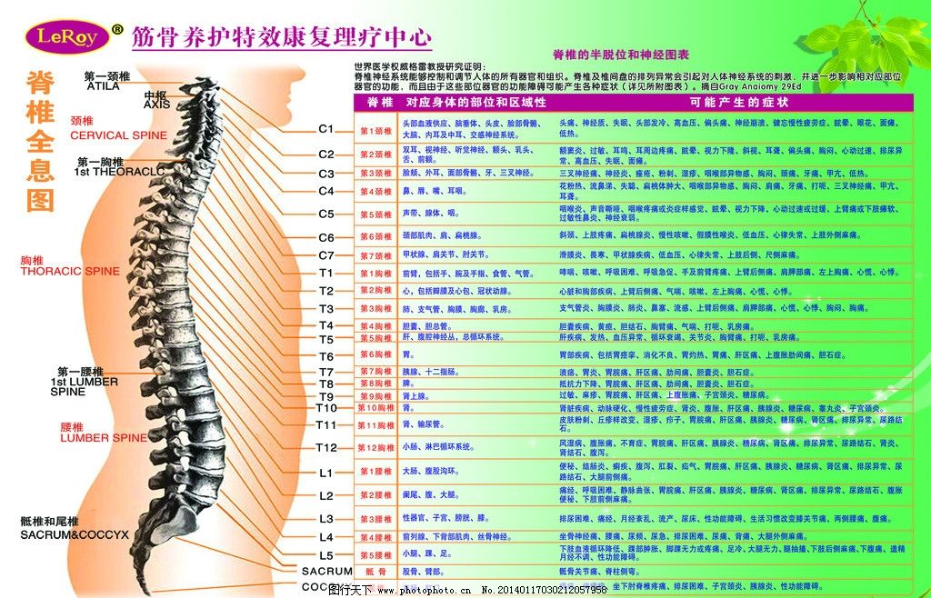 乐利来国际宣传单图片