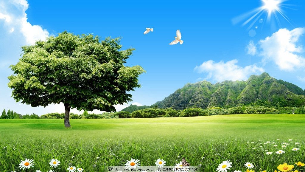 蓝天白云草地 蓝天草地 草地 蓝天白云 风景 草地风景 自然 绿色 蓝天 白云 草 草皮 草原 草丛 树 花 大树 树下风景 花园 种植园 农场 牧场 田园 白鸽 背景 展板 模版 宣传栏 海报 环保 清新 春天 空旷 阳光 广告 海报设计 广告设计 PSD分层素材 源文件 300DPI PSD