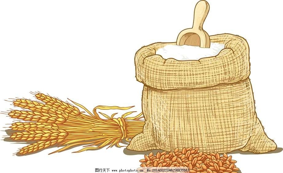 小麦面粉