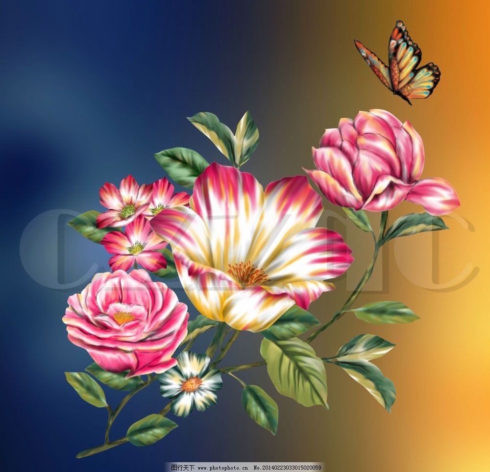 蝶恋花_图网 蝶恋花-蝶恋花-悦地带图网