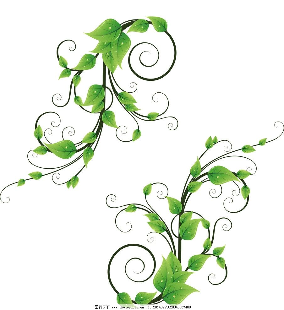 藤花 矢量图|藤花矢量图