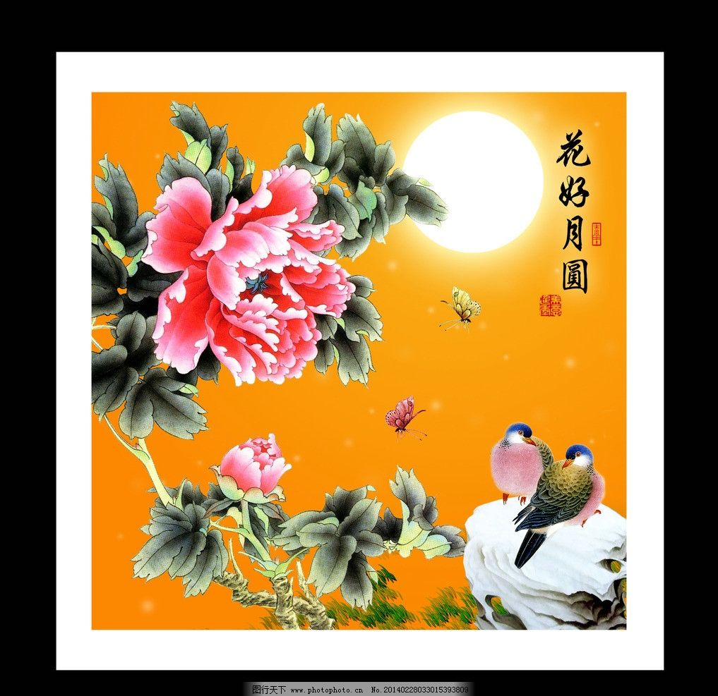 花好月圆 牡丹图片