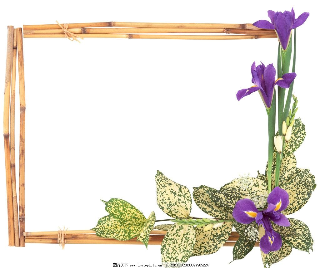 边框(背景分层) 边框 图框 画框 相框 创意 鲜花 鸢尾花 爱丽丝 自然 花朵 花 花瓣 花蕊 花卉 怒放 花卉系列 春天 花草 生物世界 摄影 背景分层 PSD分层素材 源文件 299DPI PSD