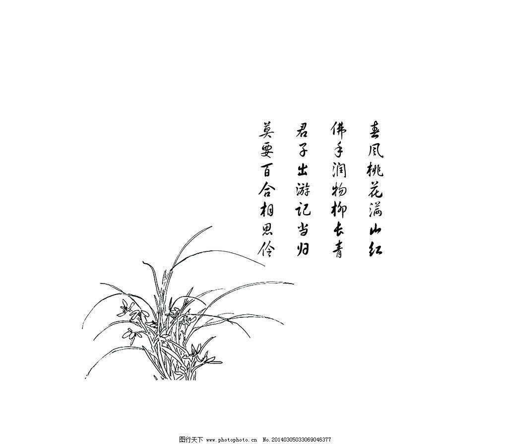 线描植物兰花