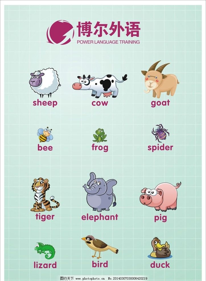 所有的动物用英语怎么说