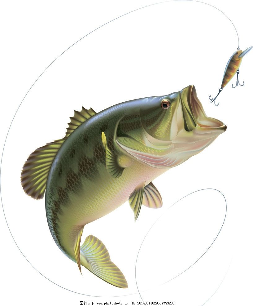 钓鱼图片,垂钓 矢量 鱼勾 鱼具 鱼杆 广告设计矢