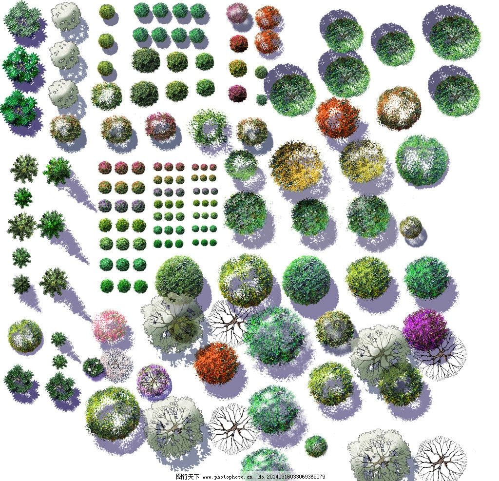 ps景观总平面图素材 景观设计 风景园林 彩平素材 植物图例 平面树
