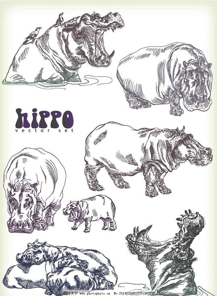 河马卡通动物设计动画 河马 卡通动物 动画动物 动画设计 动物设计 时尚背景 绚丽背景 背景素材 背景图案 矢量背景 背景设计 抽象背景 抽象设计 卡通背景 矢量设计 卡通设计 艺术设计 广告设计 矢量 EPS