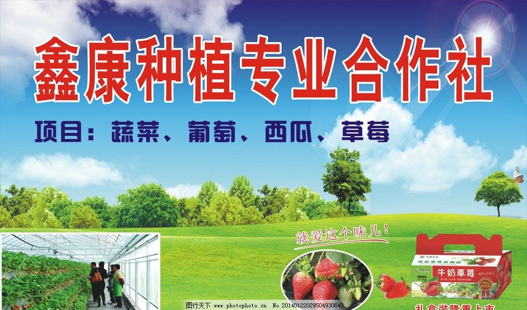 草莓合作社,草莓,大棚,果汁,蓝天,白云,树,矢量图,广告设计,矢量,CDR