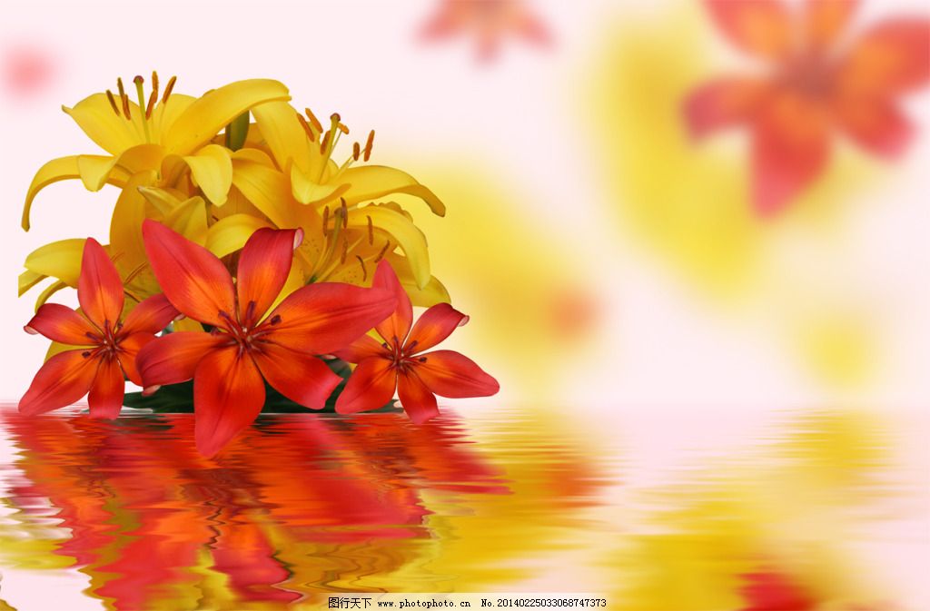 水中花图片 装饰图案 设计元素 图行天下素材网